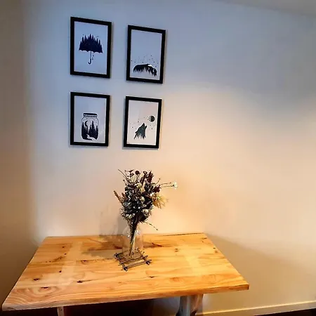 La Pause De L'ours Appartement Saint-Étienne-de-Tinée